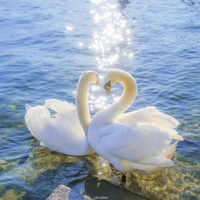 澳门第一娱乐娱城官网app下载