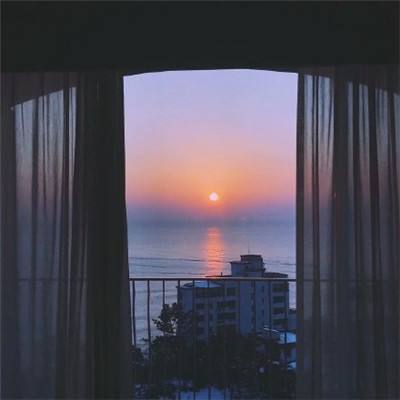 半岛综合APP下载