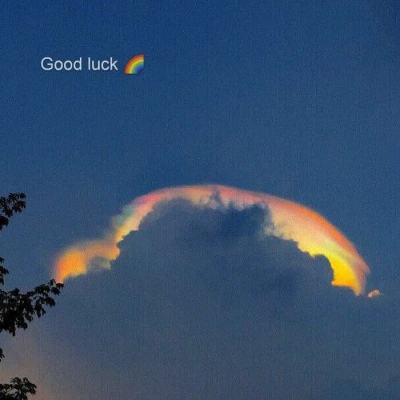 管家婆一码一肖资料大全手机app下载截图